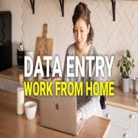Work from Home:  Data Entry Opportunity
